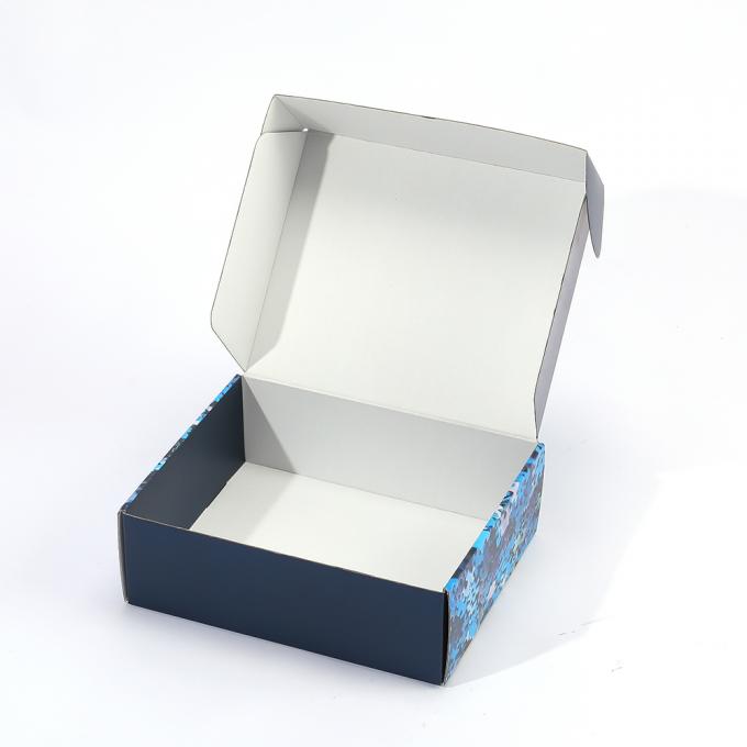 CMYK Printed Corrugated Board Postal Airplane Shipping Mailing Box met Custom Design 6