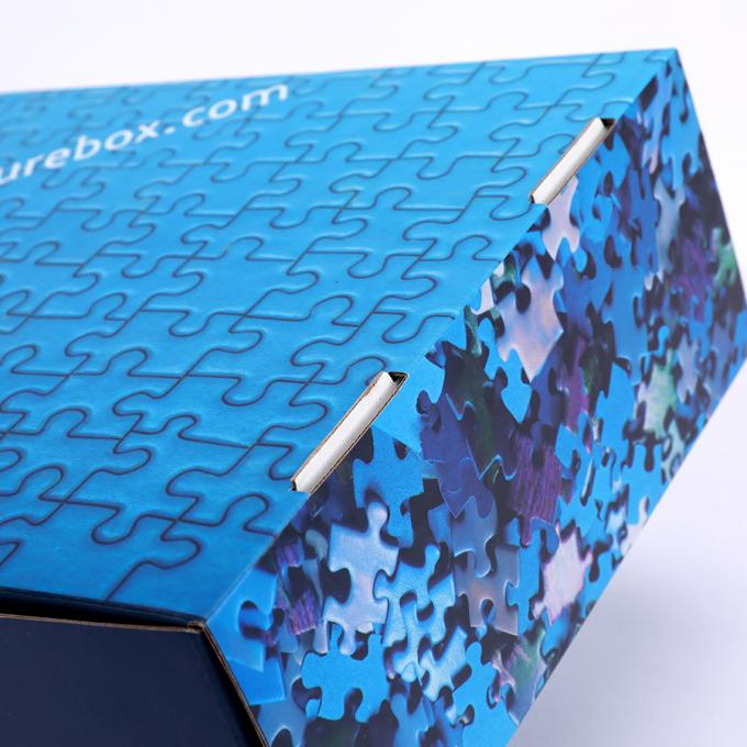 CMYK Printed Corrugated Board Postal Airplane Shipping Mailing Box met Custom Design 9